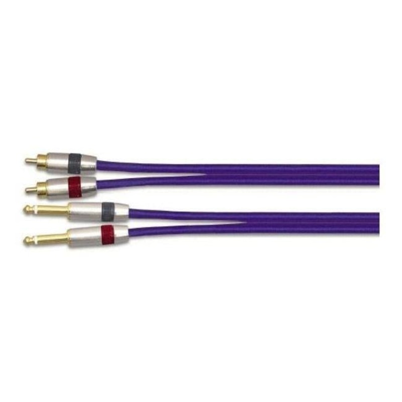 EWI 2 x RCA Male to 2 x 1/4" Jacks 10 Ft