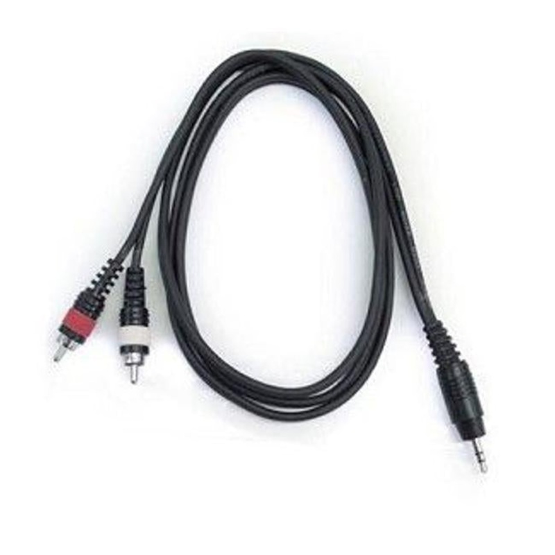 EWI 3.5mm TS Jack To 2 x RCA Jacks 10 Ft