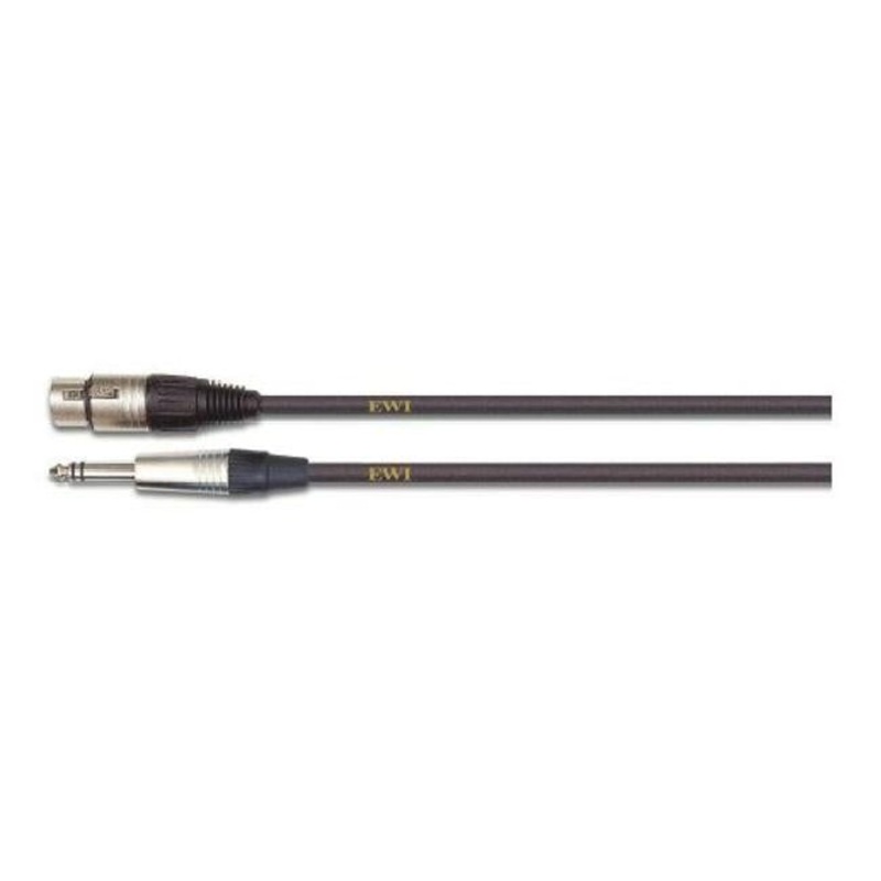 EWI TRS Jack To Female XLR 10 Ft