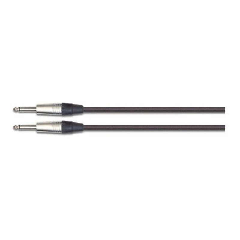 EWI Jack To Jack Speaker Cable 10 Ft