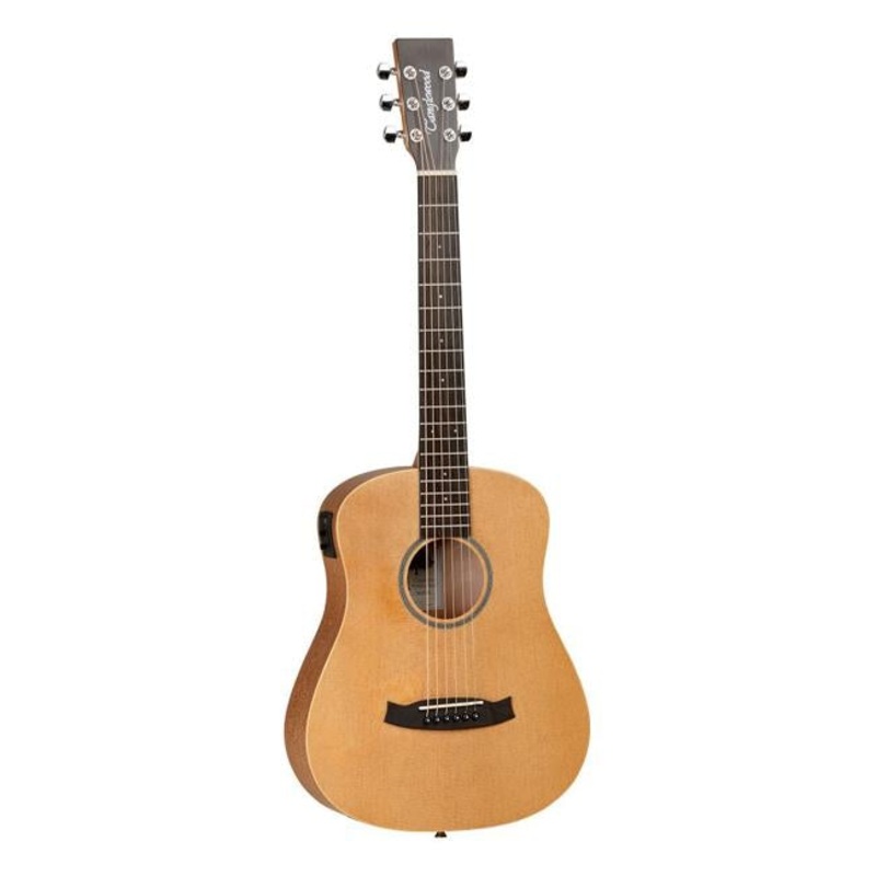 Tanglewood Winterleaf Travel Electric Acoustic with Bag