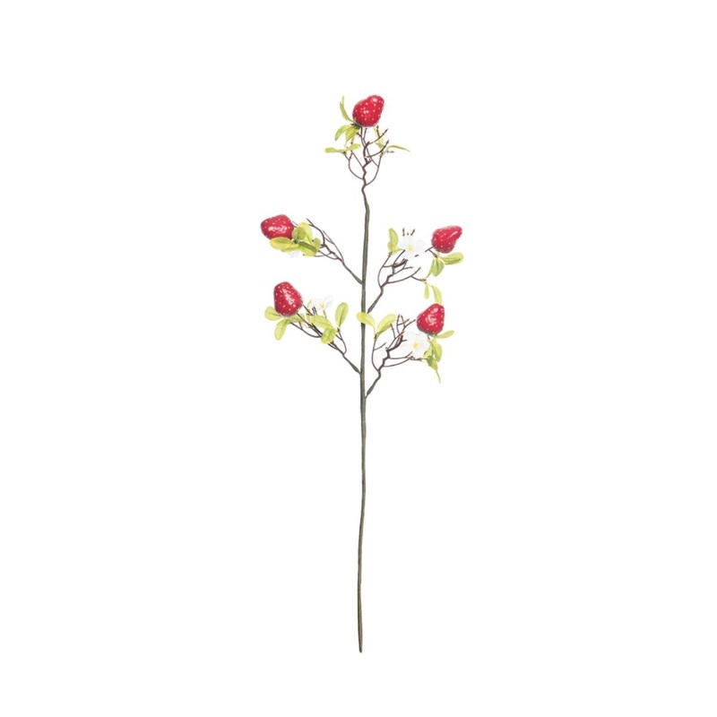 Strawberry Garden Pick