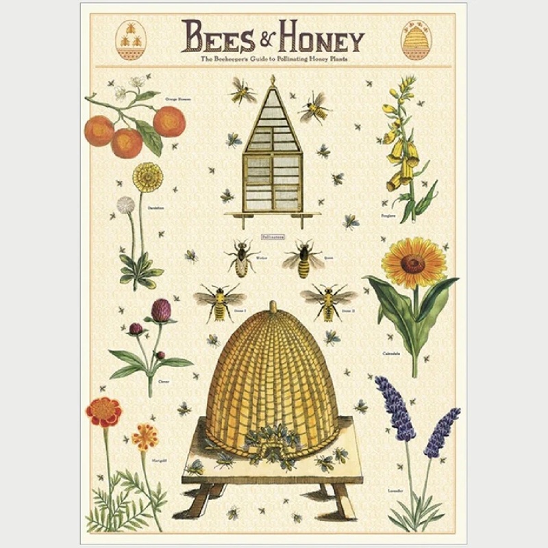 Bees & Honey 2 Wrap/Poster
