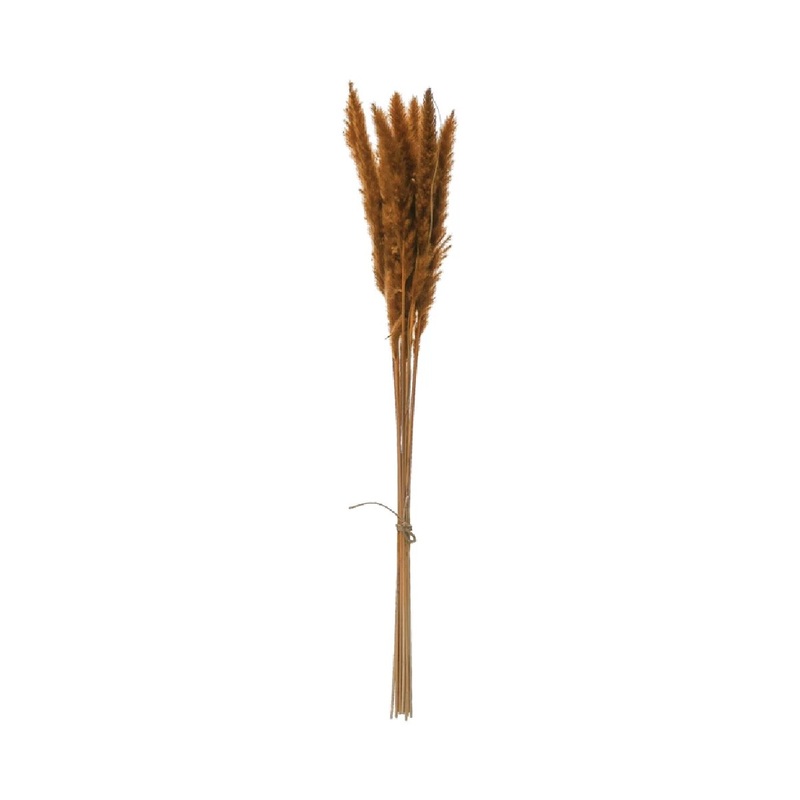 Dried Natural Pampas Grass Bunch - Mustard Color