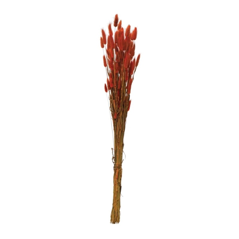Dried Natural Bunny Tail Bunch