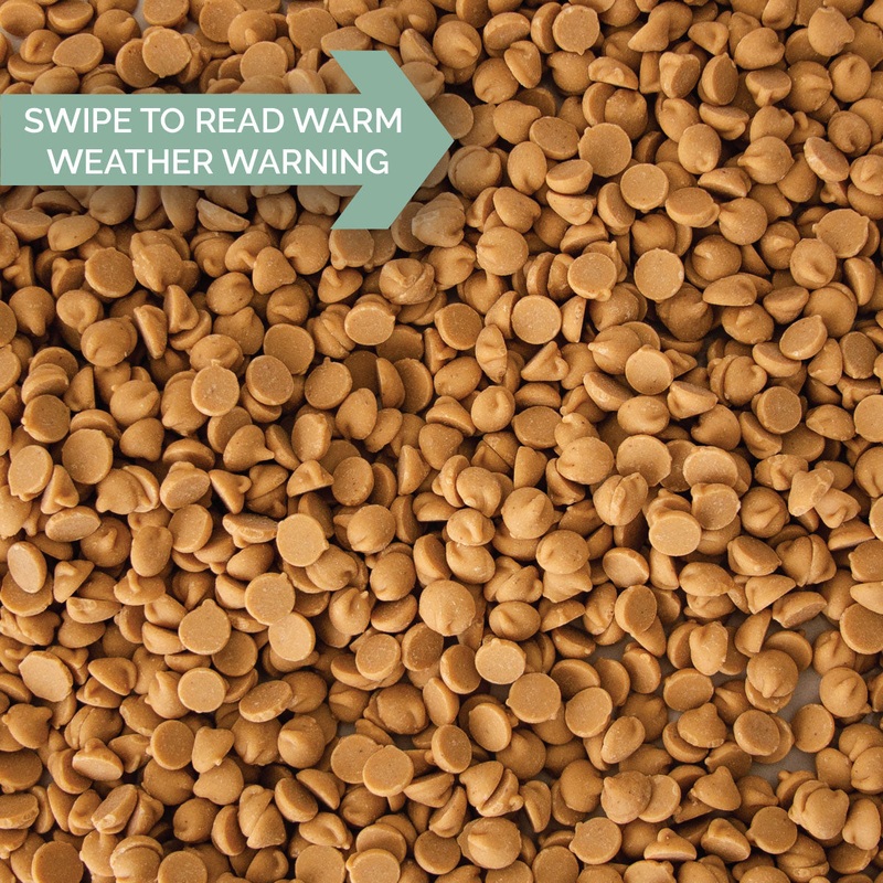 Hershey's Reese's Peanut Butter Chips - 25 lb. Case