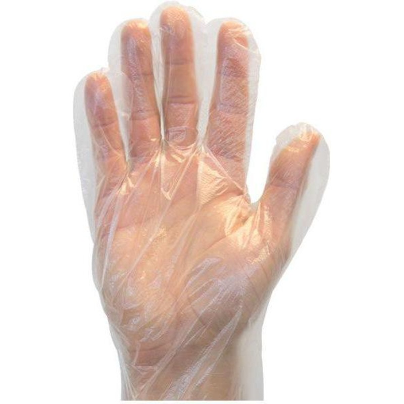 Ralston CanSafe - Small Disposable Poly Gloves, 500/bx - TSZGDPESM5