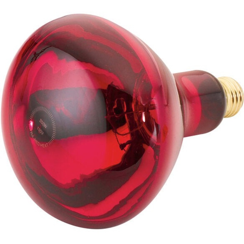 Cres Cor - 120V, 375 Watt Shatterproof Red Infrared Light Bulb - 0820 005 SP (Pre-Order Now, ETA 7-8 Weeks)