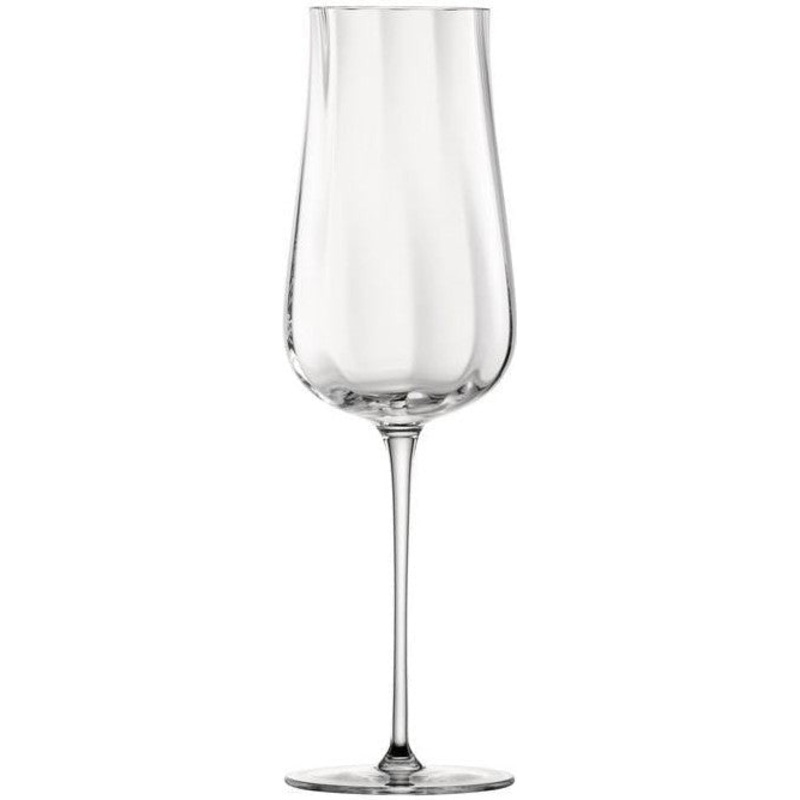 Fortessa - Marlene 12.3 Oz Champagne Glass, Pack of 2 - 0088.121217