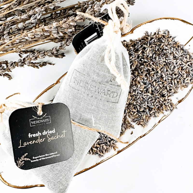 Hereward Culinary Lavender