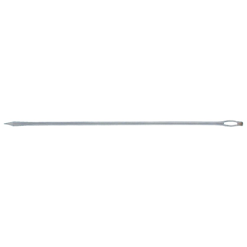Trussing Needle