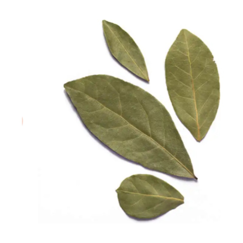 Turkish Bay Leaf