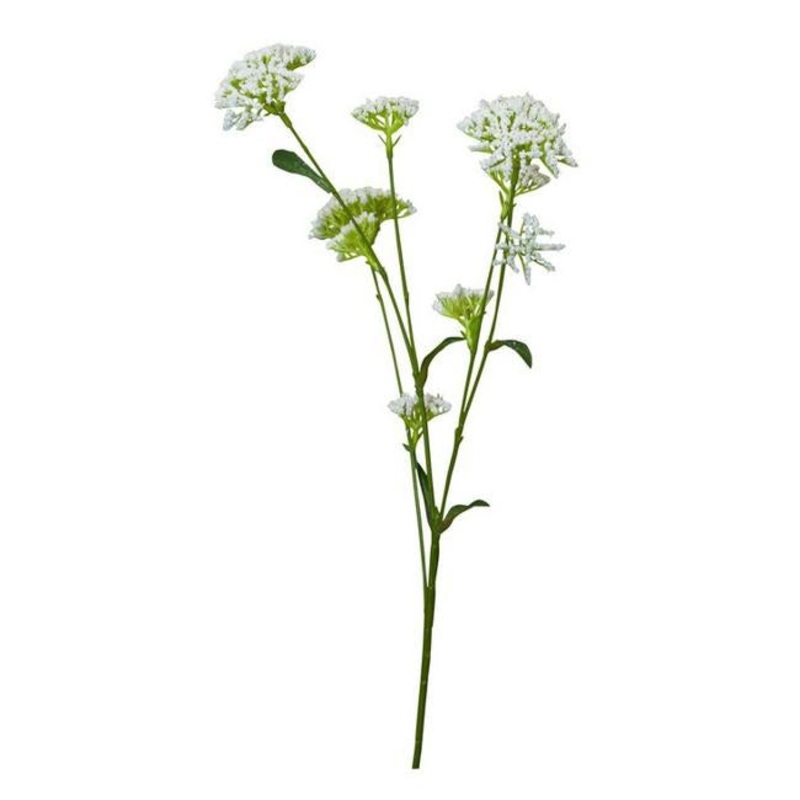 Rembrandt Eucalyptuse Seeds Spray / White PG1022