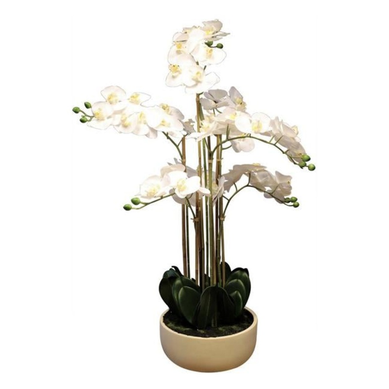 Rembrandt Real Touch Orchid 7 Spray YI1015