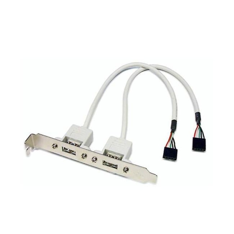 Dynamix Usb Slot Card. Usb-A Female Connector To 2X 5-Pin
