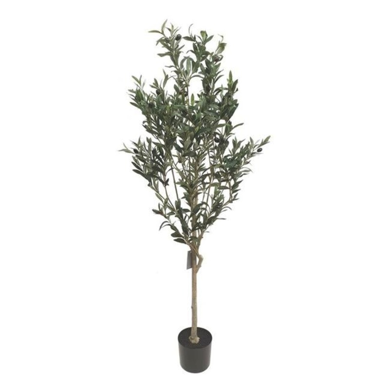 Rembrandt Artificial Plant - Olive Tree IV3007