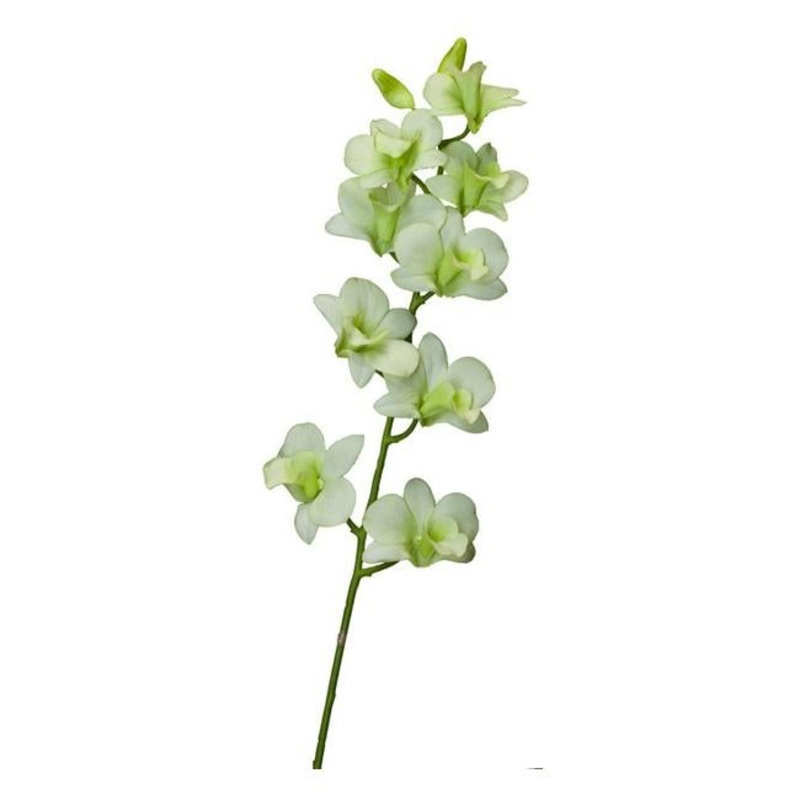 Rembrandt Dendrobium Spray  (Orchid) / Light Green PG1002