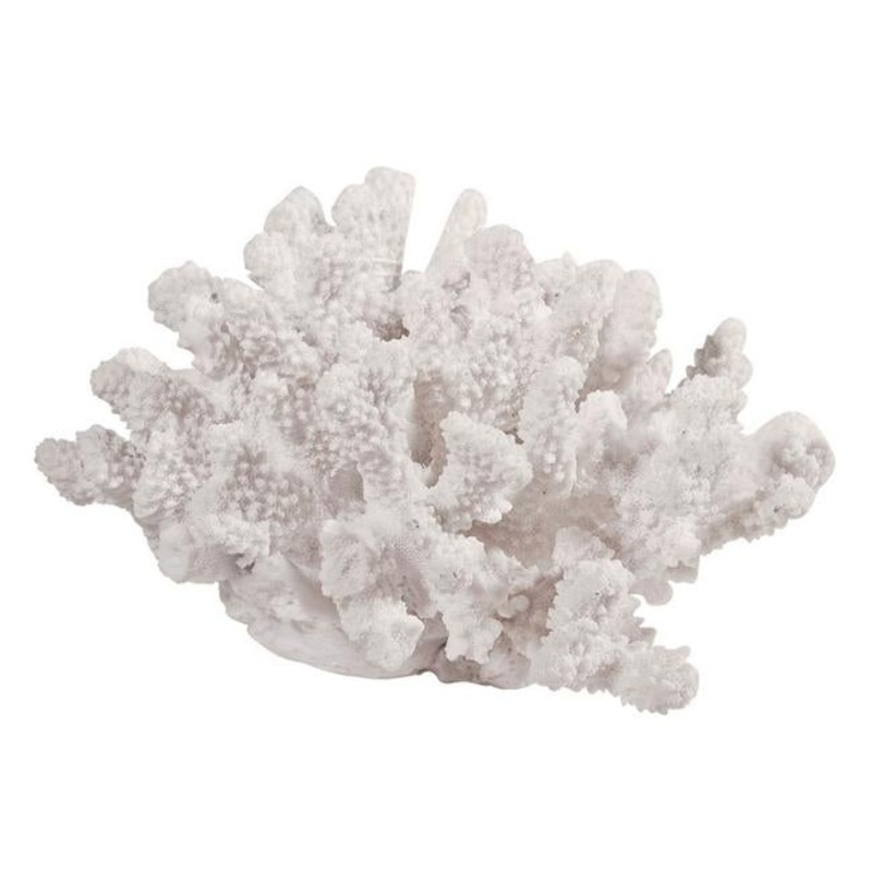 Rembrandt Faux Coral Sculpture SE2114