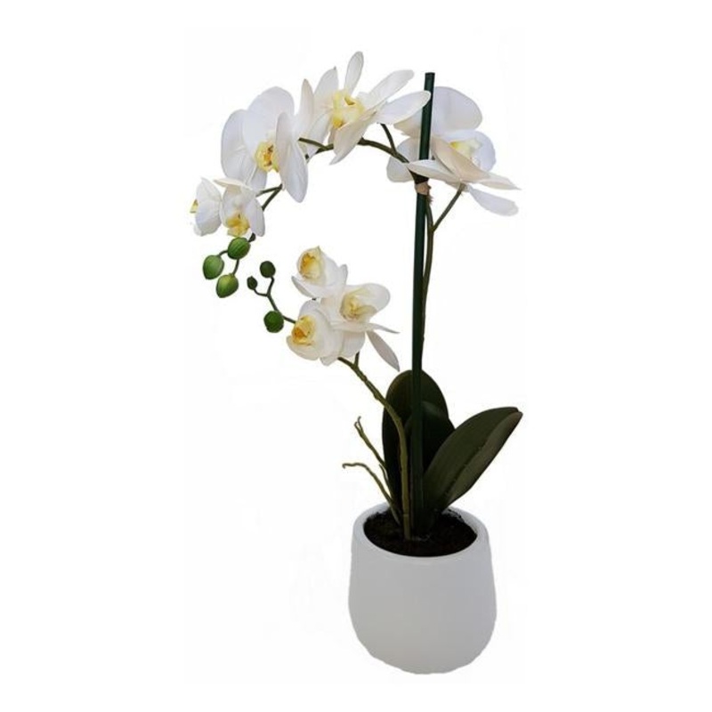 Rembrandt Real Touch Orchid 2 Spray YI1002