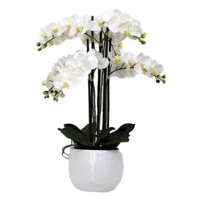 Rembrandt Real Touch Orchid 5 Spray YI1007