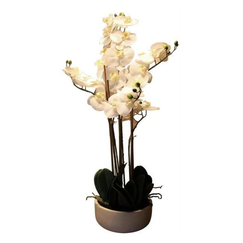Rembrandt Real Touch Orchid 6 Spray YI1014