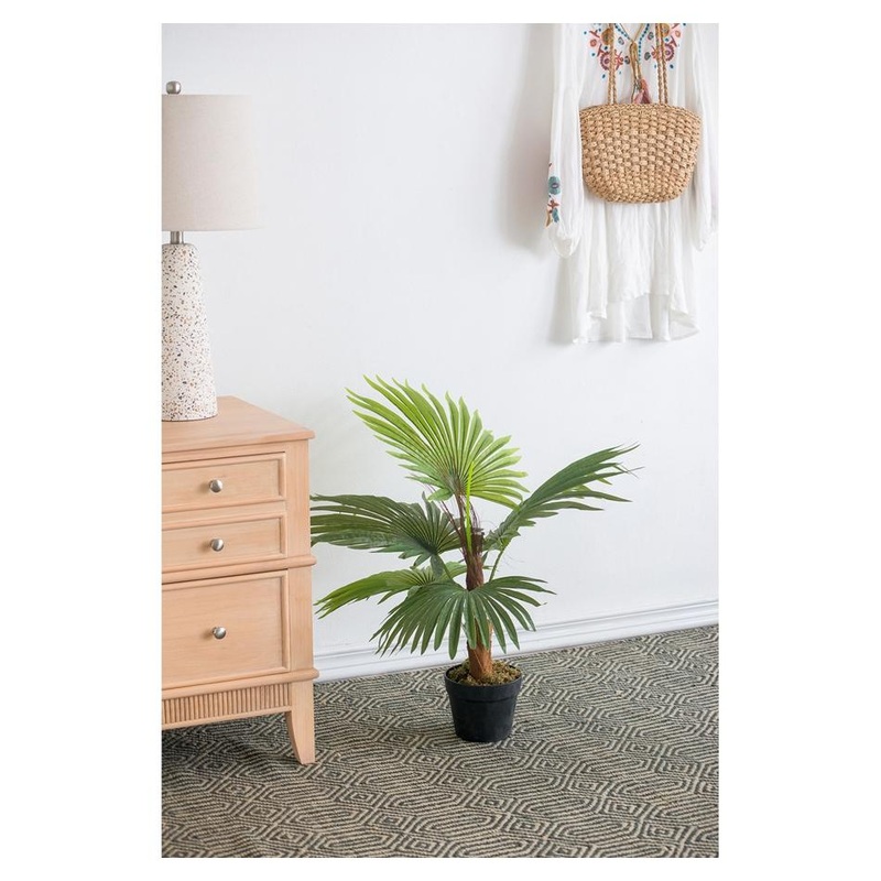 Rembrandt Fan Palm Tree SE2588