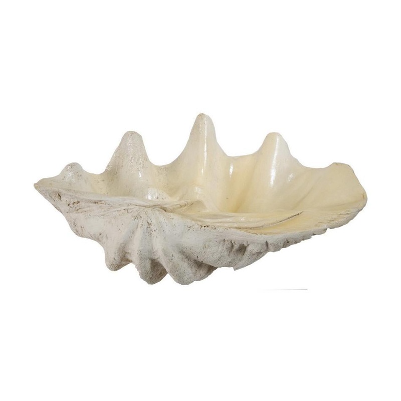 Rembrandt Large Shell SE2729