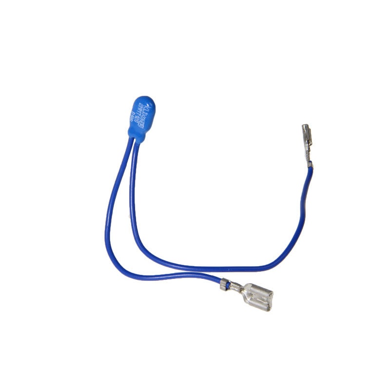 Delonghi Espresso Machine Pump Protector - AS00002824
